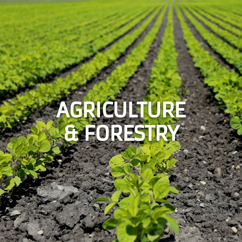 Agriculture and forestry. To Train Specialists and Bachelor's for Agriculture and Forestry.